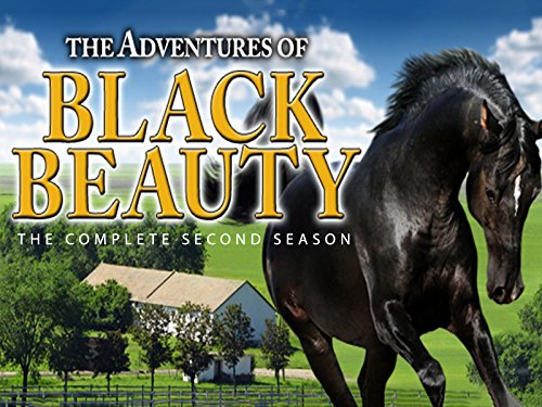 The New Adventures of Black Beauty